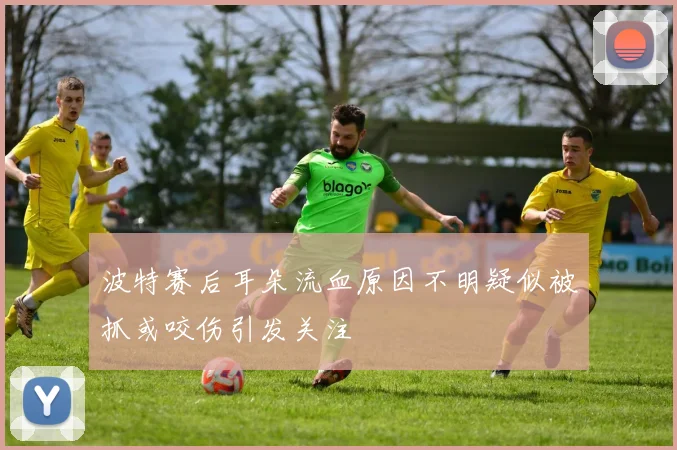 波特赛后耳朵流血原因不明疑似被抓或咬伤引发关注