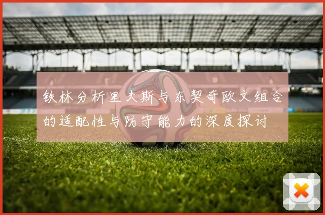 铁林分析里夫斯与东契奇欧文组合的适配性与防守能力的深度探讨