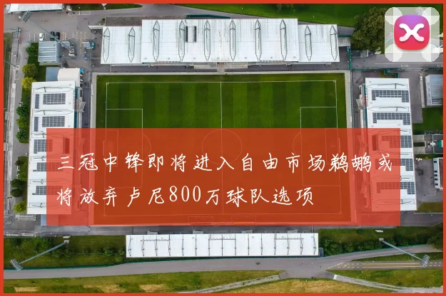 三冠中锋即将进入自由市场鹈鹕或将放弃卢尼800万球队选项