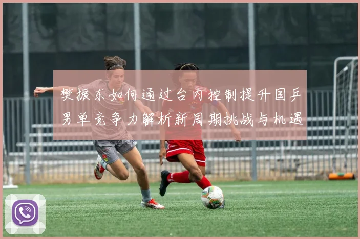 樊振东如何通过台内控制提升国乒男单竞争力解析新周期挑战与机遇